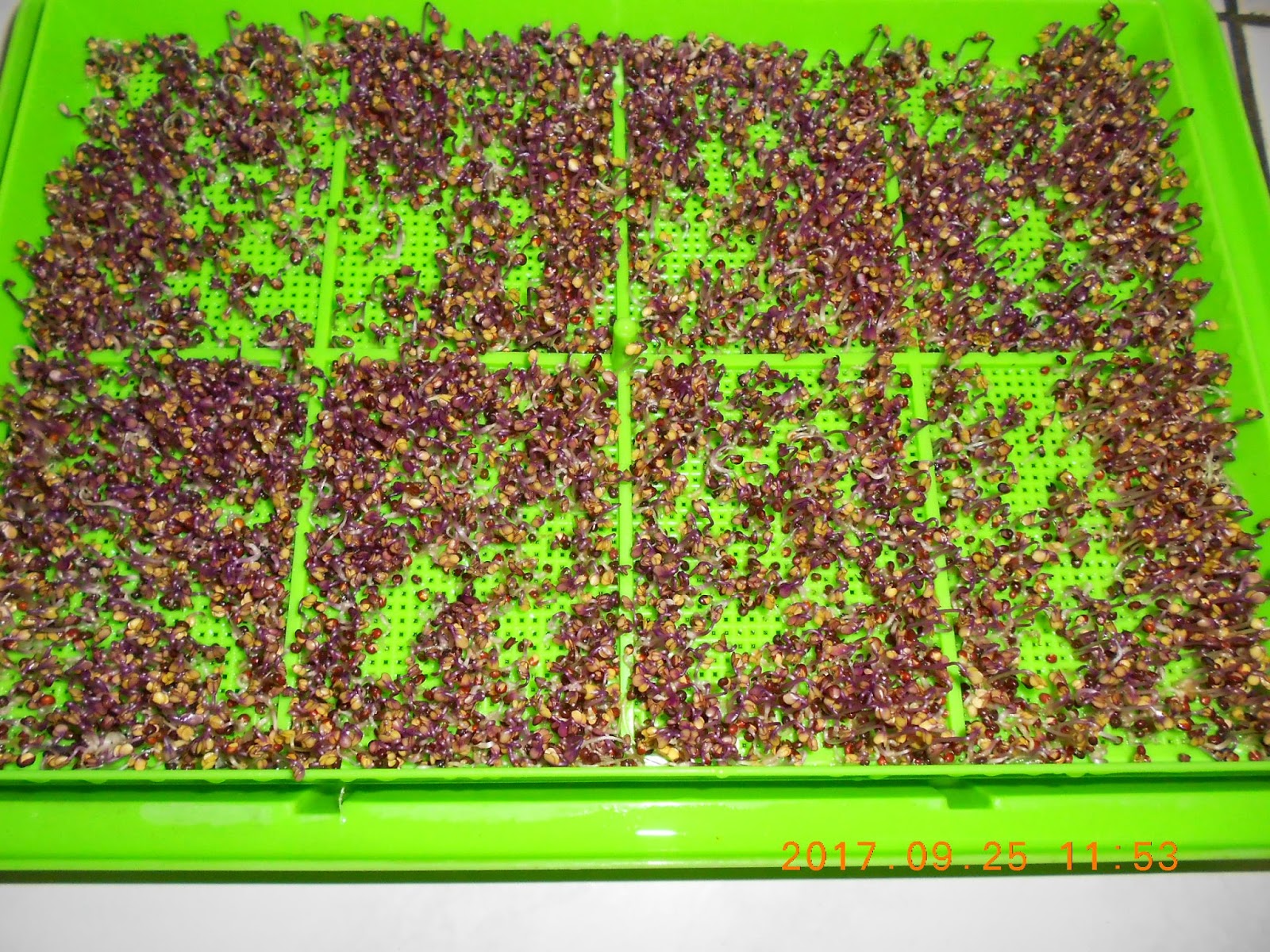 �����R,�����R��,���Ⱚ�R��,������ŵ�,�����R��i,�����R����i,�����ŵ��ܦ�,�����ŵ浵���ߵ�,�����R��