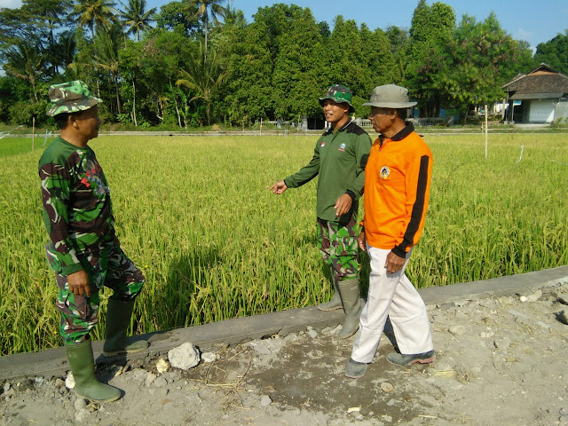Petani Desa Jimbung Senang Jalan Kesawah Akan Dibetonisasi Satgas TMMD Reg 105 Kodim Klaten   