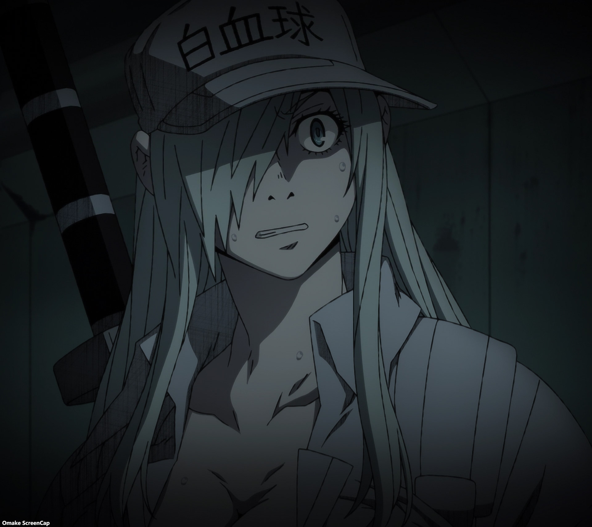 Anime Waifus on X: White Blood Cells Face Forward Anime: Hataraku Saibou  Black  / X