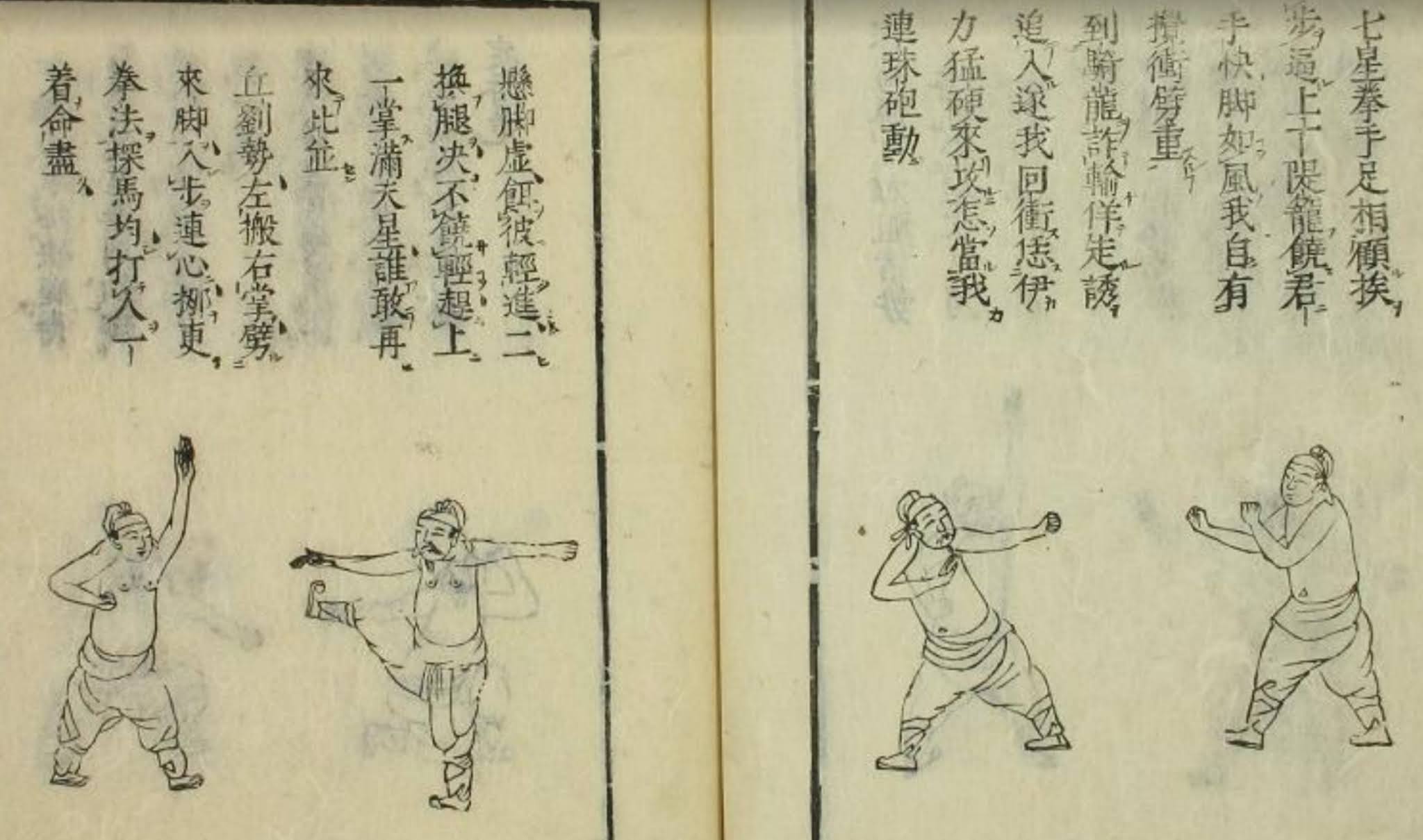 Best Book Winner General Martial Arts Histories in English