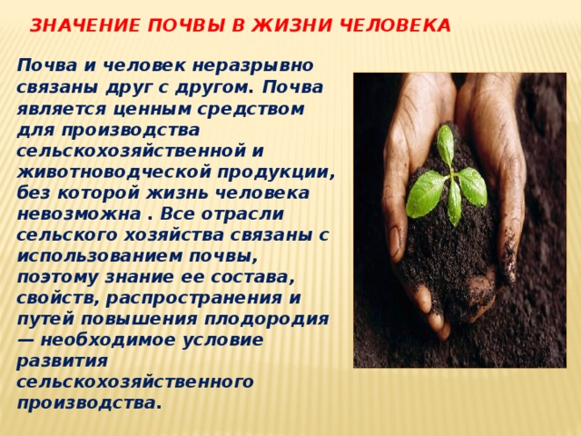 Забота о людях вывод. Роль почвы в жизни человека. Значение почвы для человека. Роль почвы в природе. Значение почвы для жизни на земле.
