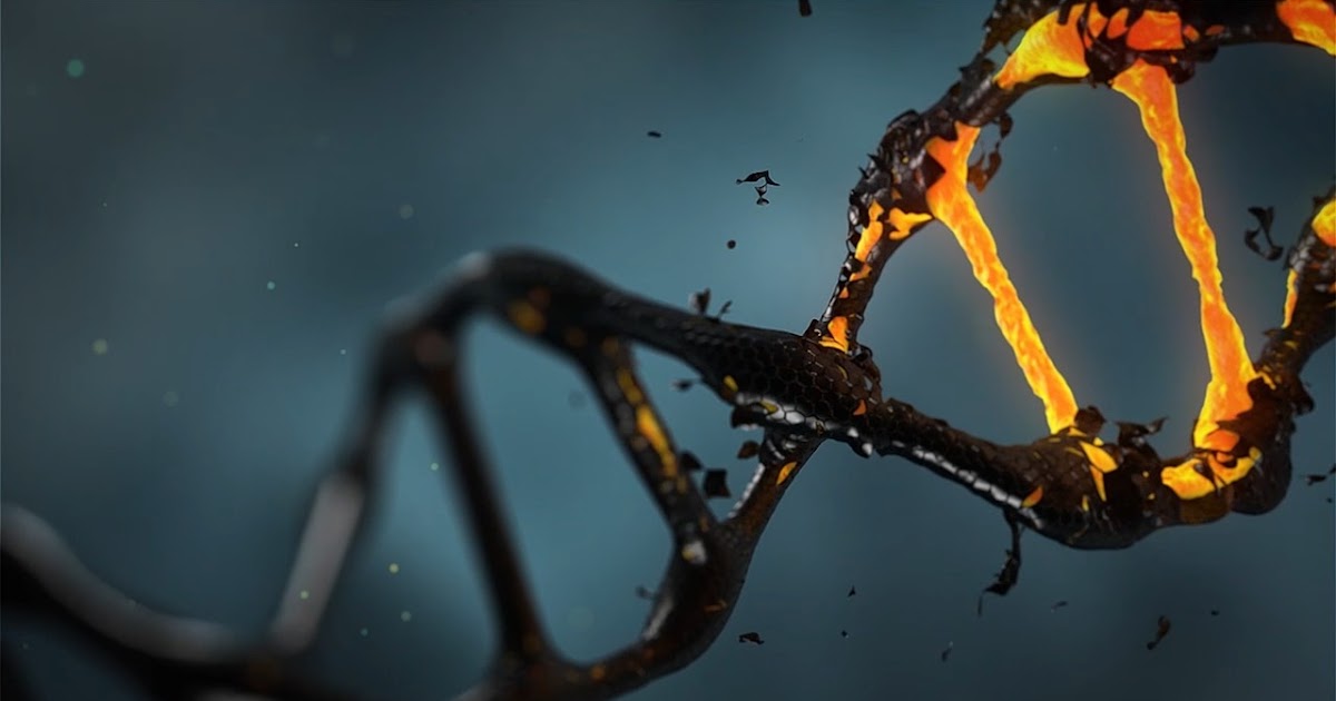 Renaissance der Erbsünde