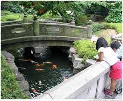 fake-koi-pond-plants-7