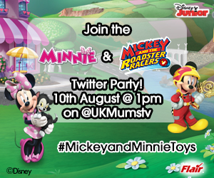 Mickey and Minnie Party