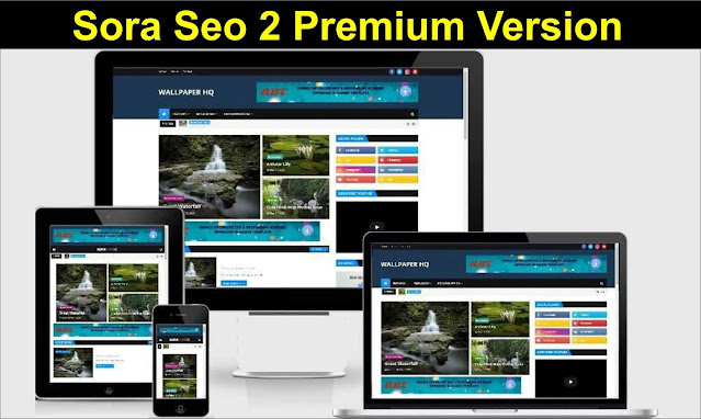 Sora Seo 2 Premium Version