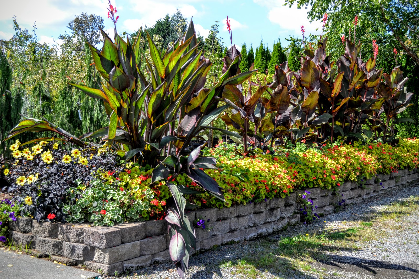 The Outlaw Gardener Vassey's Big September Sale Starts Today!