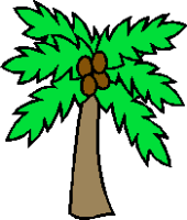 coconut clipart tree clip trees cliparts rainforest animated parts drawing worksheet branches palm fruit kindergarten clipartpanda line plant graphics guide