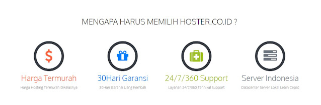 Domain Hosting