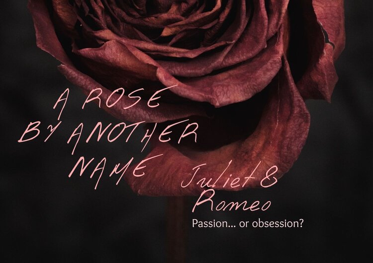 Hugill A rose by any other name Juliet & Romeo