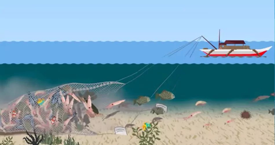 Different Types of Fishing Methods, Traditional and Commercial
