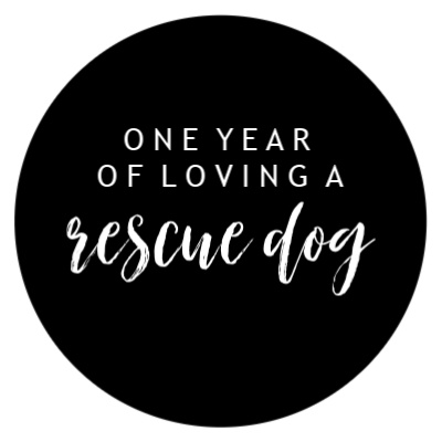 Kane Blog Picz Wallpaper Fonts Free Download