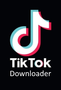 TikTok Downloader 3.3.2 TikTok Downloader 3.3.2