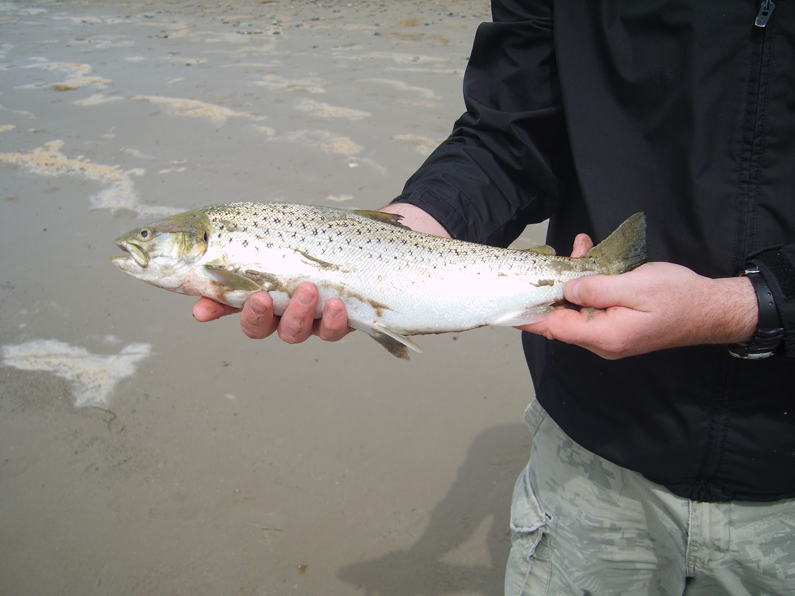 A Guide to Sea Fishing the West of Scotland and Cooking your Catch