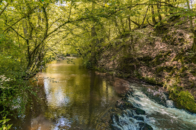 Traumschleife Dünnbach-Pfad - Saar-Hunsrück-Steig  Premiumwanderweg Kastellaun  Wandern im Hunsrück 07