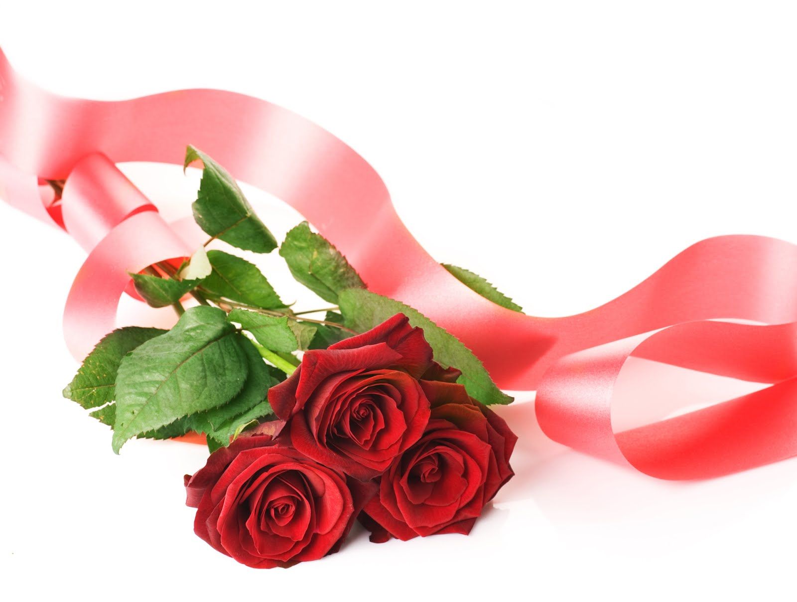 Angélica Italia: DÍA DE LAS MADRES - ROSAS DE AMOR 🌷 💐 Frases