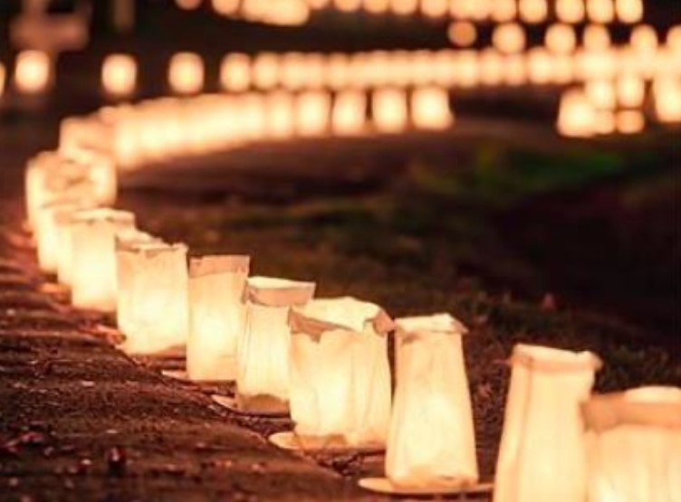 Franklin Matters Light Up Franklin 2021! Luminary Kits for Sale By