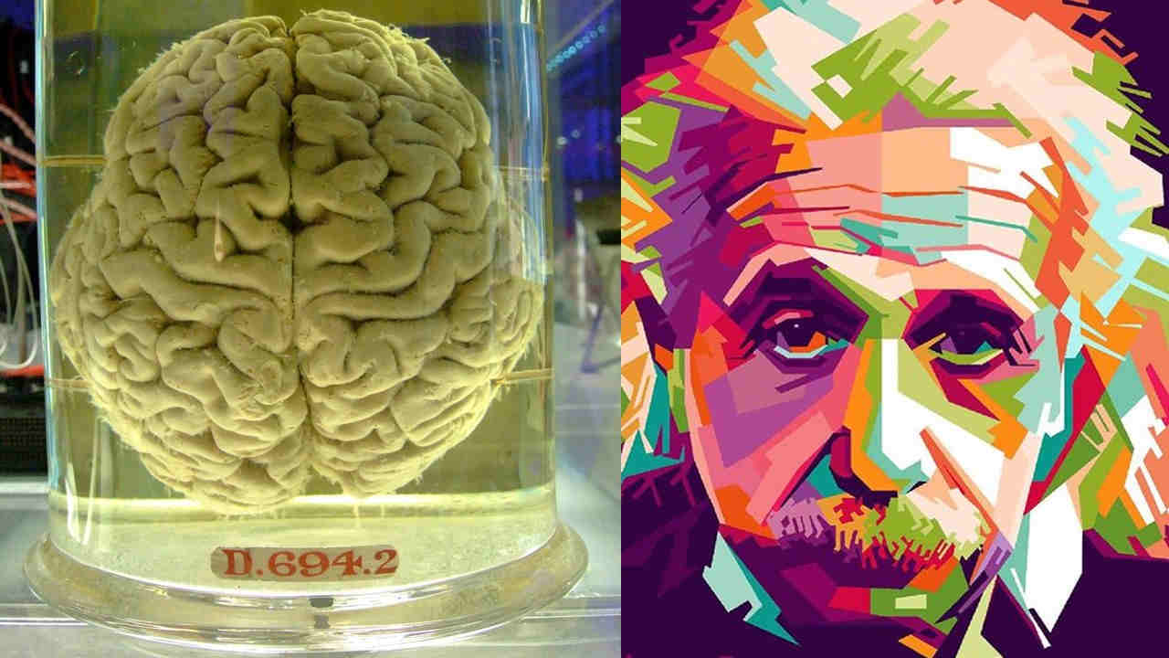 why albert einstein was a genius physics science mystery einstein's brain