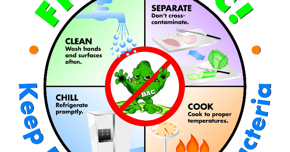 Dietitian Sara How To Handle Food Safely?