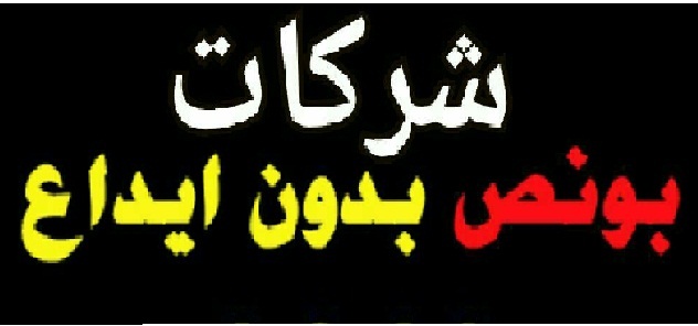 Expertoption شرح