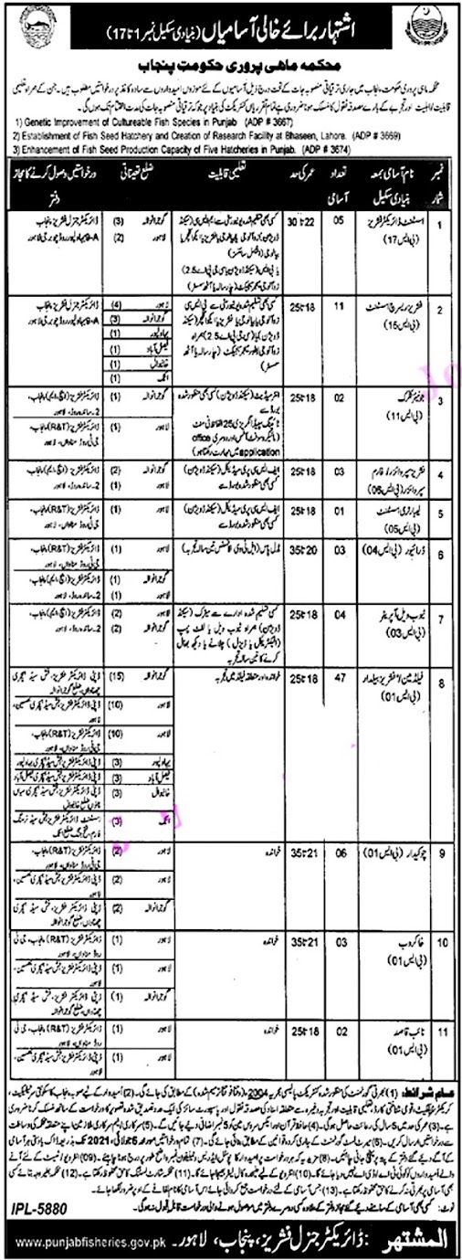 Latest Jobs in Fisheries Department Punjab  2021- BPS 01- 17