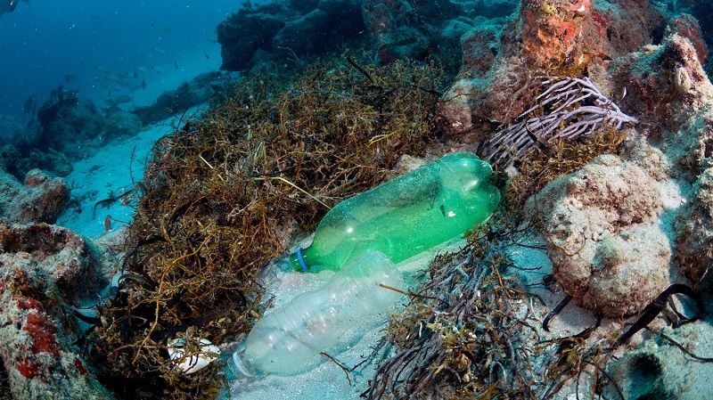 kerusakan ekosistem laut akibat sampah