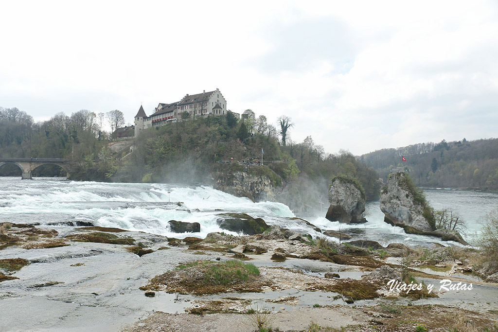 Castillo de Laufen. cataratas del Rin