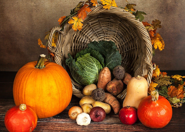 Answer: Who made it to the first Thanksgiving?