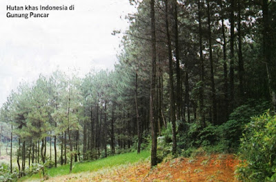 KEBUN WISATA PASIR MUKTI”