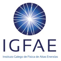 Instituto Galego de Física de Altas Enerxías