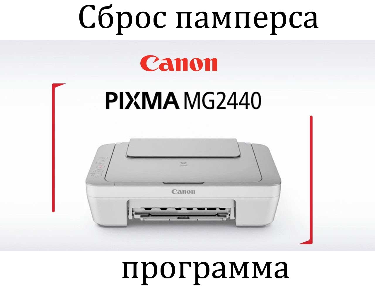 Сброс памперса canon pixma mg2440