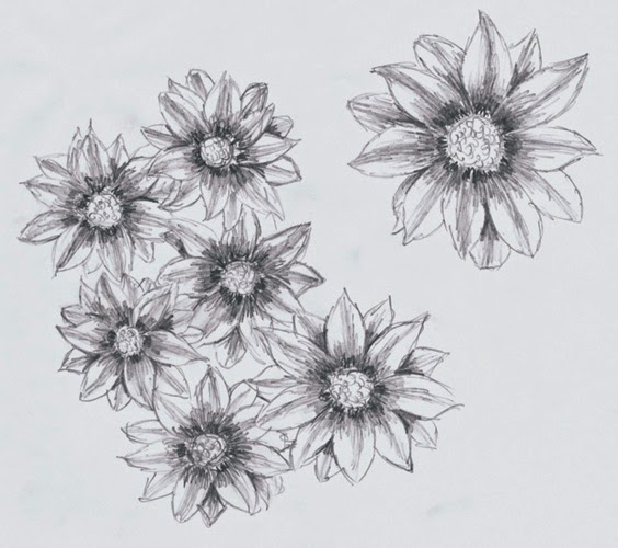 Flowers Pencil Drawings | Many Flowers