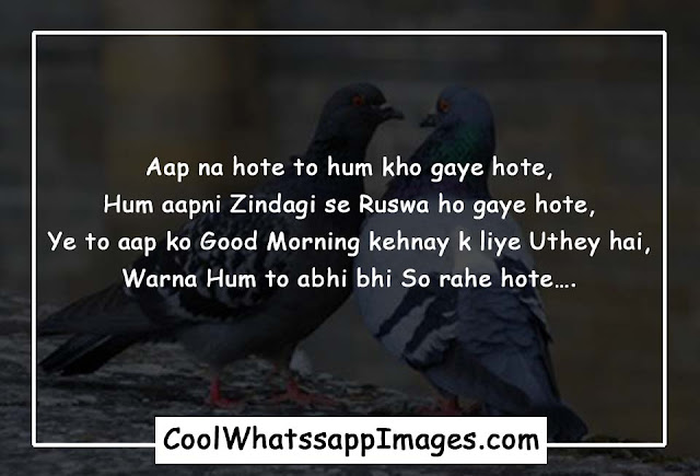 Love Shayari with Image in Hindi Love Shayari with Image in Hindi