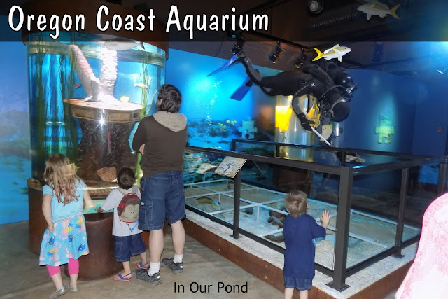 Family-Friendly Attractions on the Oregon Coast   #road trips  #kids  #family  #vacation  #oregon