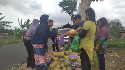 Pituruh Mempunyai Potensi Pertanian Lebih Unggul Dibandingkan Kecamatan Lain