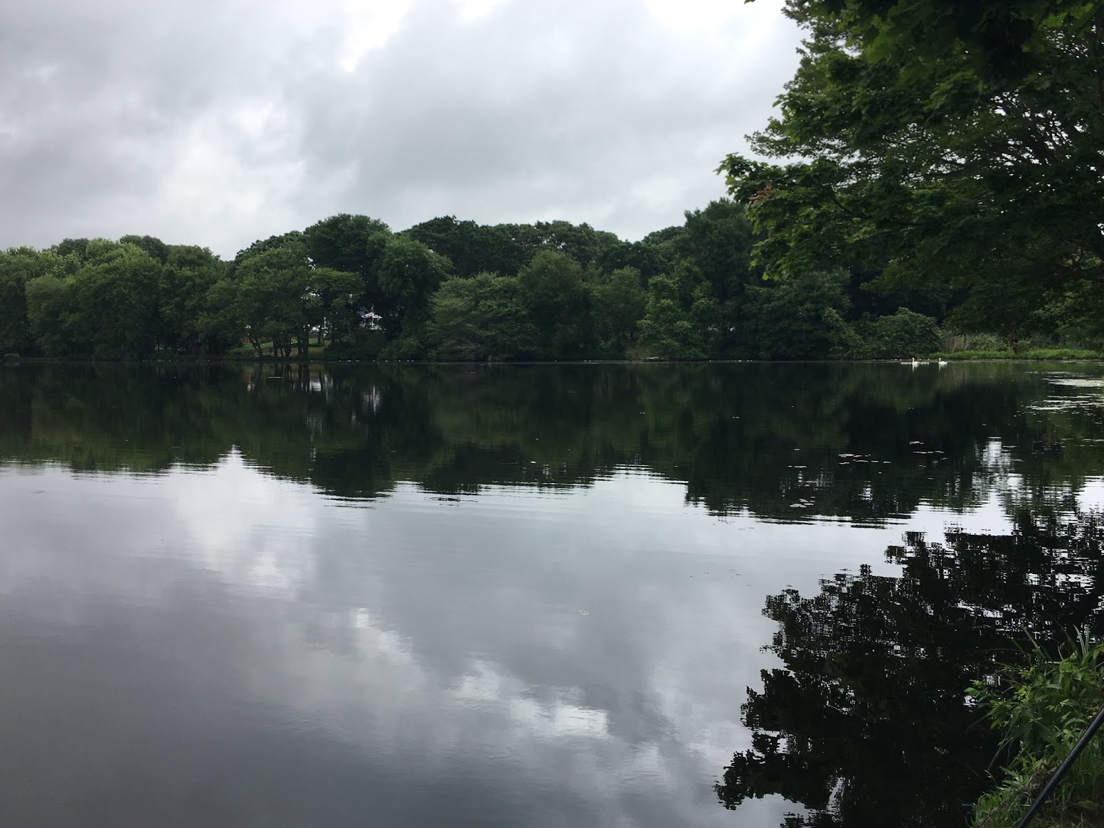 PALS Plein Air Limner Society June 30, 20 Kalers Pond