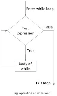 14.Looping(Iteration )Statement- while, for
