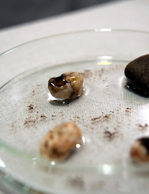 Vier Kieselstein in einer mit etwas Wasser benetzten Petrischale, die mit Aromen belegt sind.