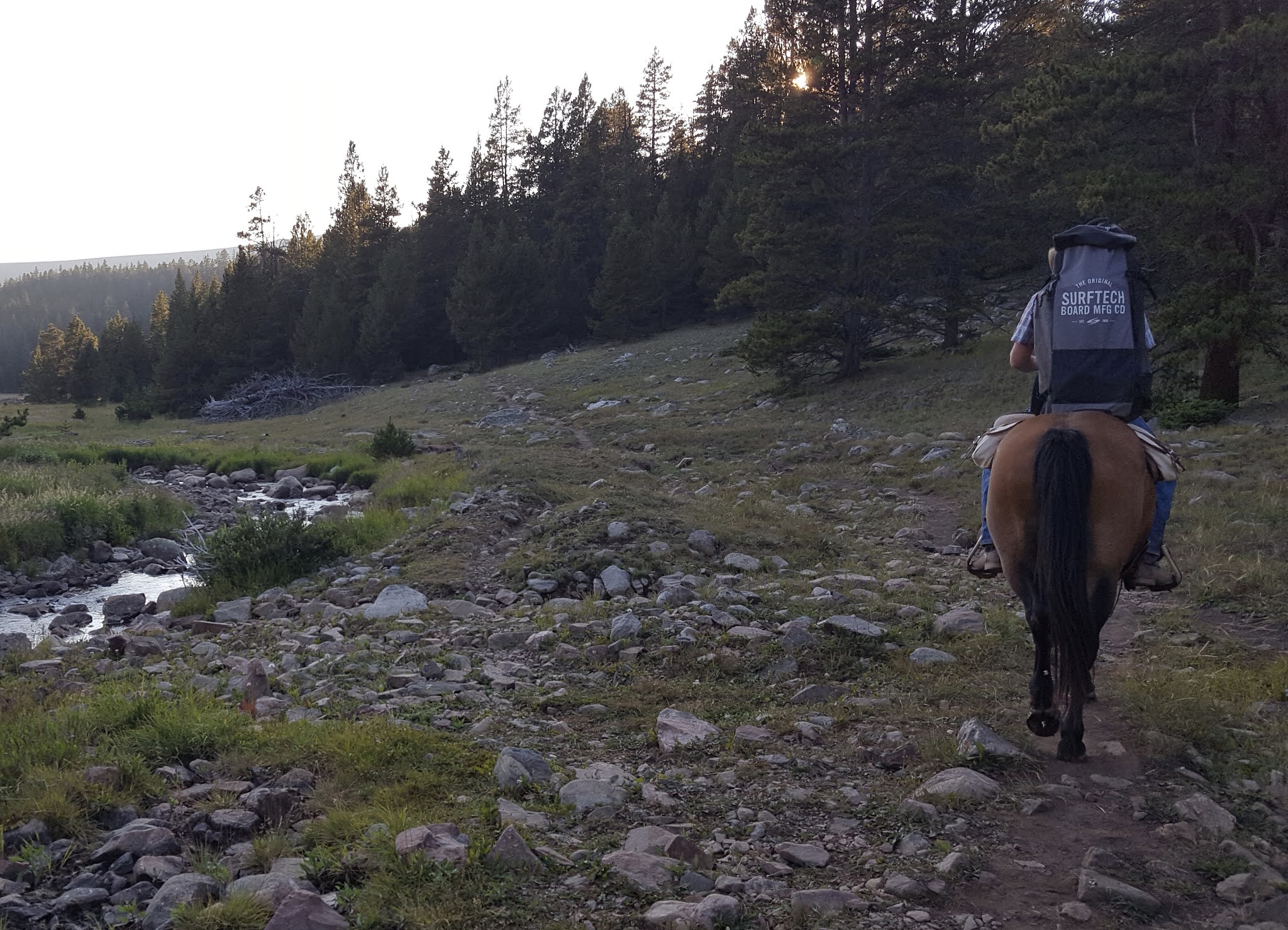 Wyoming Catholic Cowboys raw and real Surf Wyoming 2021