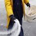 Ιωάννινα:Προετοιμασία του Δήμου και διανομή αλατιού για την πιθανή χιονόπτωση 