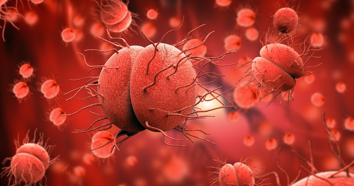 Gonorrea Salud en línea