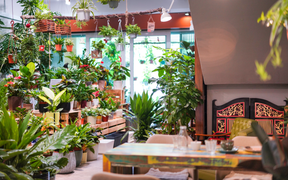 Coffee, tea or monstera? Take a break in this potted paradise that brings together baked bites