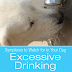 Symptoms to Watch for in Your Dog: Excessive Drinking - updated