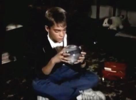 st-elsewhere_tommy-westphall-snow-globe.