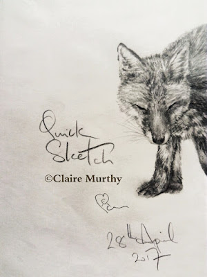 Wildlife drawing and sketching Wildlife drawing and sketching