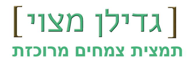 Gdilan Matsouy גדילן מצוי