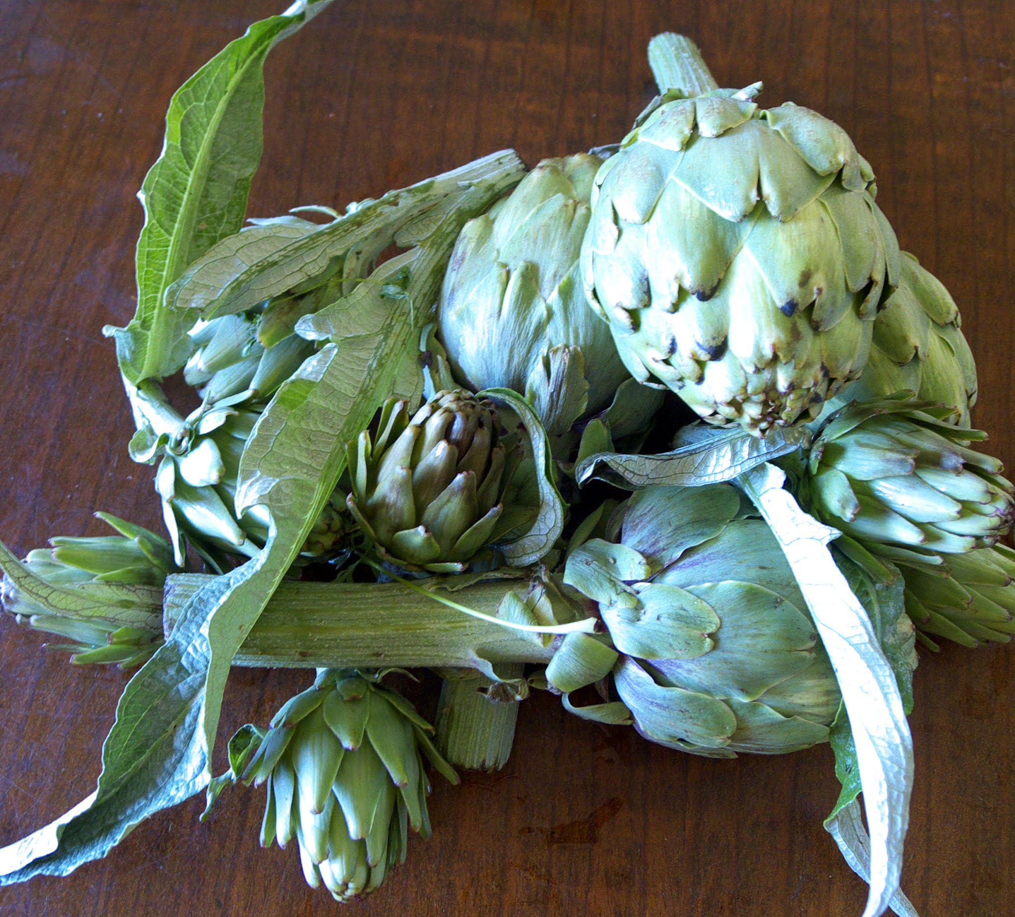 MY KITCHEN IN SPAIN IT’S BEEN A GOOD YEAR FOR THE ARTICHOKES