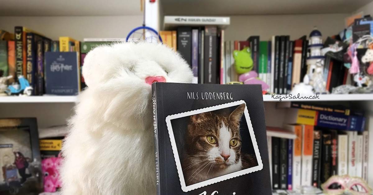 Kağıt Salıncak 7) KEDİM VE BEN NILS UDDENBERG