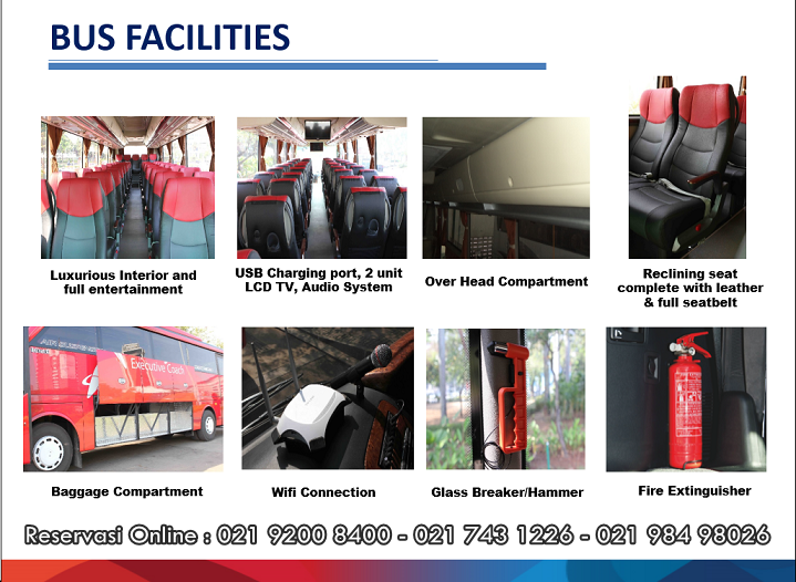 Antafaya: Lebih dari Sekadar Bus, Sebuah Simbol Perjalanan dan Petualangan