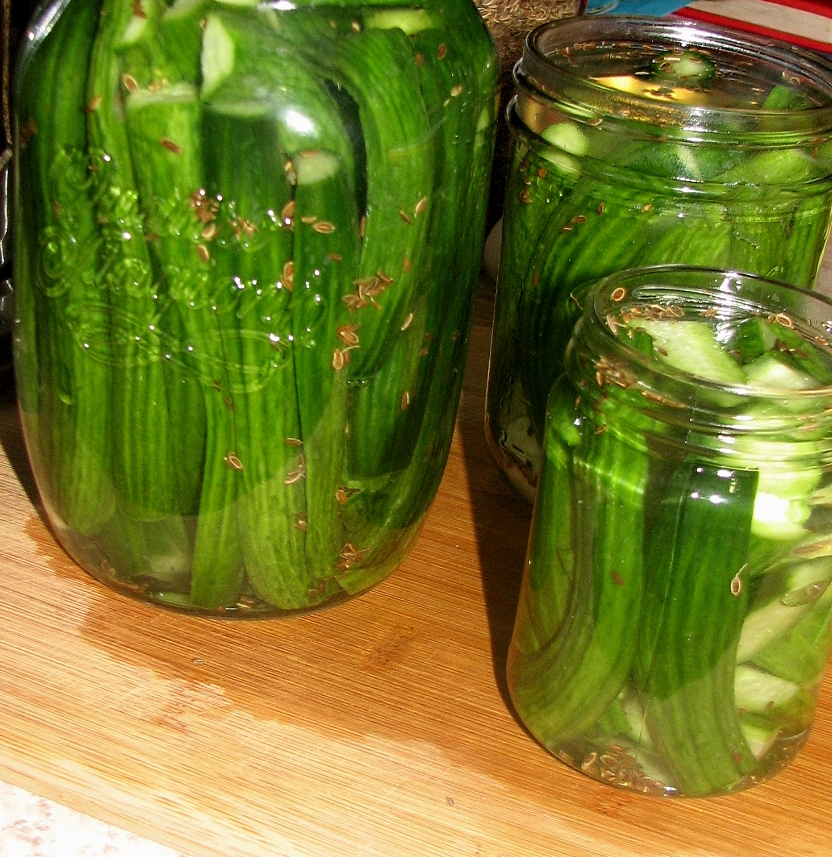 FOOD PRESERVING ﻿KOSHER DILL PICKLES (CUCUMBER)