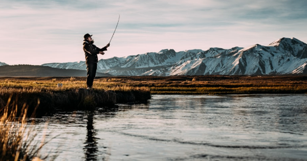 71 Arti Mimpi Mancing Dapat Ikan Arwana Menurut Primbon